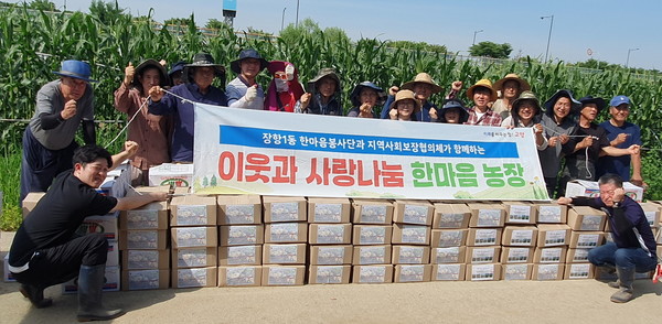 장항1동 지역사회보장협의체와 한마음봉사단이 ‘사랑나눔 한마음농장 감자수확’ 특화사업을 했다.