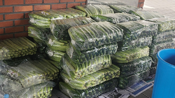 풍산동 지역사회보장협의체는 오이지를 담기 위해 신선한 오이를 가득 준비했다.