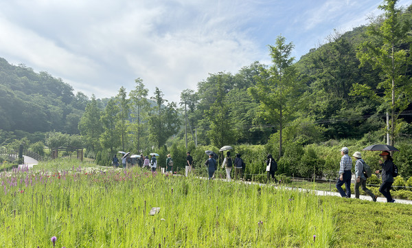 율곡수목원으로 걸어가는 숲체험 참가자들.