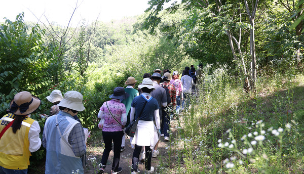 체험자들이 숲으로 향하고 있다.