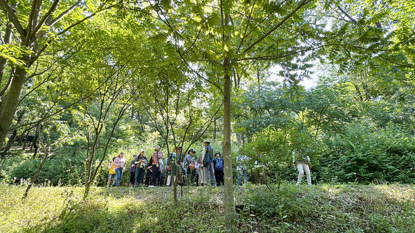 풀과 꽃, 나무에 대해 이야기를 듣고 공감하는 시간도 가졌다.