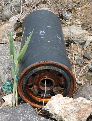 송도 갯벌에서 마주친 포탄처럼 생긴 쓰레기. [사진=에코코리아]