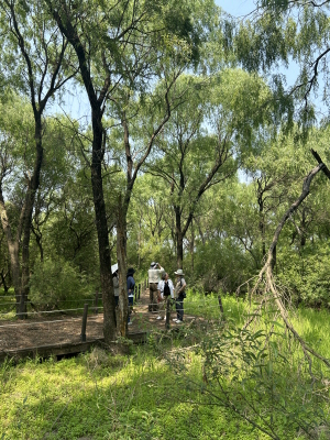 CMS 사무총장 장항습지 방문. [사진=에코코리아]