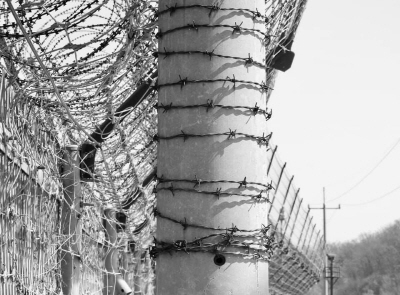 김포 한강하구 접경지역의 전봇대. [사진=에코코리아]