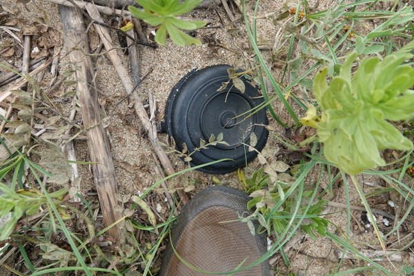 옹진군 갯벌에서 마주친 지뢰처럼 생긴 쓰레기. [사진=에코코리아]