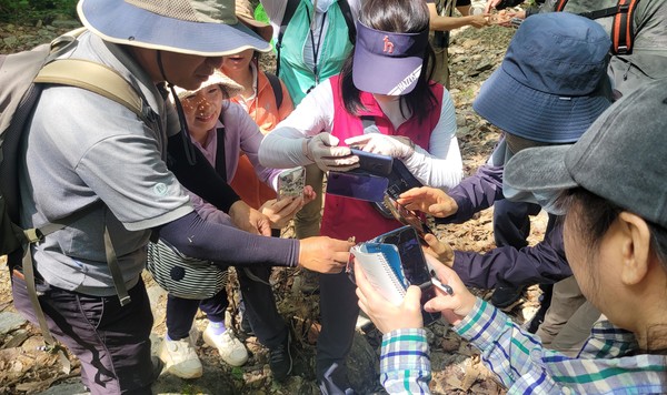 개명산 생태조사 참여자들이 수녀골 입구에서 포획한 쇠살모사를 촬영하고 있다.