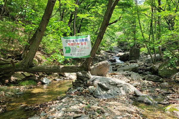 사철 물이 마르지 않는 개명산 수녀골 계곡.