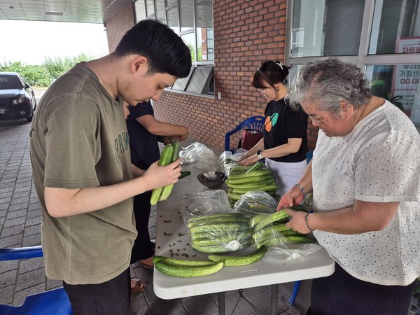 복지협의체 회원과 행정복지센터 직원들이 오이 2500개를 손질하고 소금물에 절여 오이지를 만들고 있다.