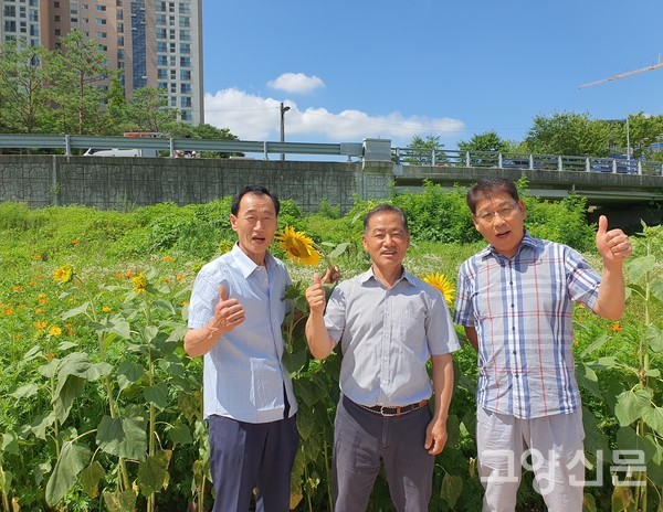 {왼쪽부터)임성호 자치행정분과장, 이학윤 주민자치회장, 이의찬 자치행정분과 위원이 해바리기꽃밭 앞에서 포즈를 취했다.