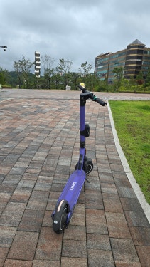 지역 인기카페 '일산아지매'에 17일 올라온 사진. 한 주민이 호수공원에 세워진 전동킥보드 사진을 올렸다. [사진출처=일산아지매]