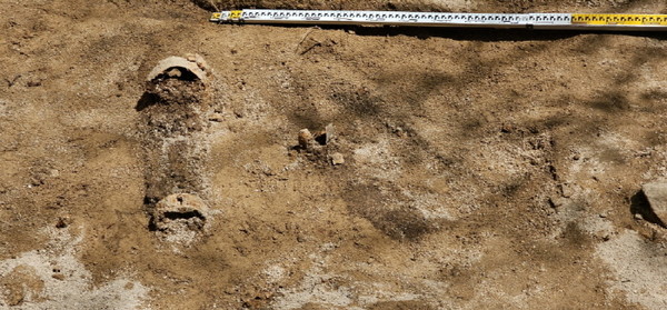 향미고에서 발견된 목모포 부재 발굴 현장. [사진제공=고양시]