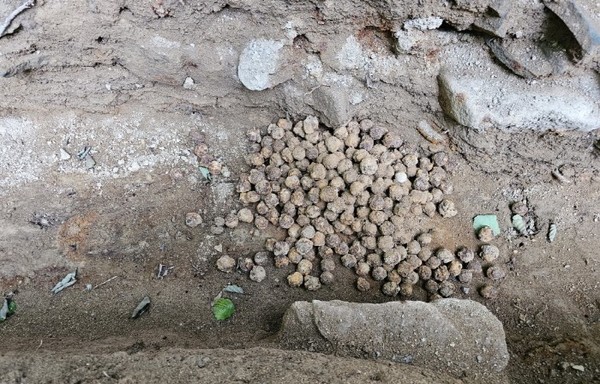 철환이 대량 출토된 향미고 발굴 현장. [사진제공=고양시]