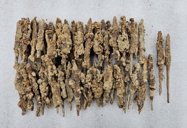 향미고에서 무더기로 출토된 화살촉. [사진제공=고양시]