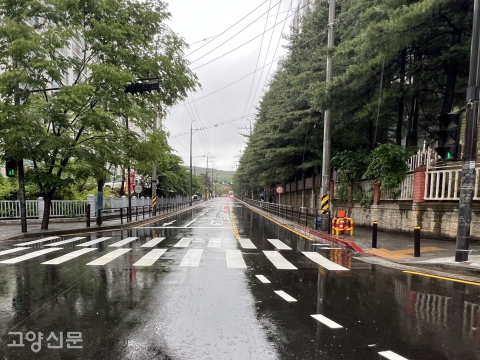 탄현동 침수지역 배수 개선사업을 5월 20일 완료했지만 이번 집중호우에도 침수 사례가 발생했다. 