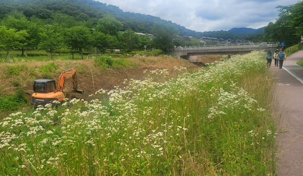 지난달 23일 고양신문 마을숲 생태탐사에 나선 시민참여단이 오송산에서 기념촬영을 하고 있다. 등산객들이 오송산 벙커 옆에 난 오솔길을 걷고 있다. 한북정맥 산줄기인 오송산과 옥녀봉 사이에 왕복 4차로의 일영로가 개통돼 생태축 단절이 심각하다. 표지판 하나 없는 오송산 정상.굴삭기가 오금천 안에 들어가 땅을 뒤집어 수풀 제거작업을 하고 있다.여석정에서 내려다 보이는 삼송지구 아파트단지.  숲해설가 임철호씨가 오송산 산책로에서 식물에 대해 설명하고 있다.오송산에서 식물들을 관찰하고 있는 시민들.조롱이가 먹잇감을 발로 움켜쥐고 있다.참나무에 둥지를 지은 오색딱다구리.