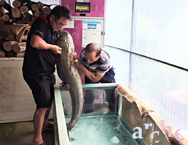 박찬수 행주어촌계장(왼쪽)과 어민 장창무씨가 대형 메기를 들어올리고 있다.