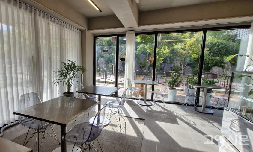 넓은 통창으로 자연광이 가득 들어온다.