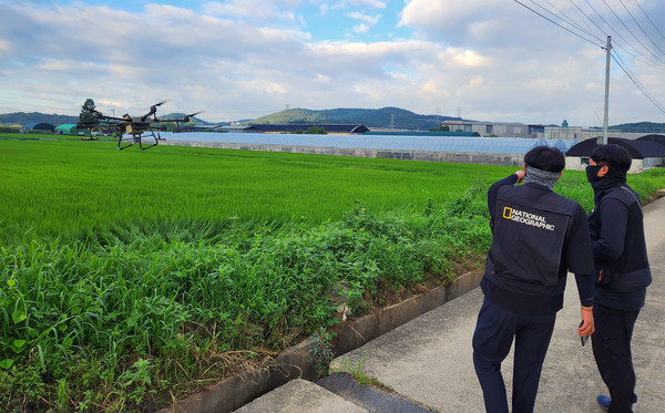 드론 공동 방제를 하고 있는 벽제농협 관계자들.