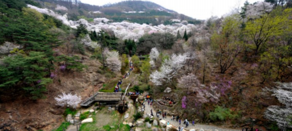 서대문 안산공원 (서울 서대문구)