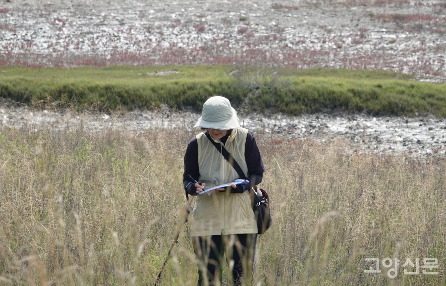 [사진=에코코리아]