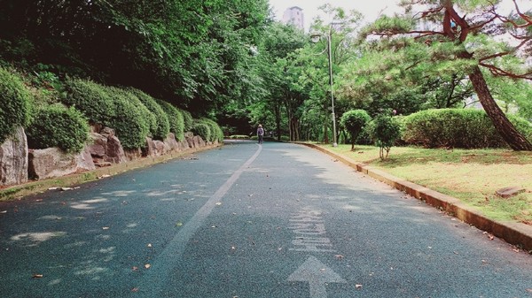 자전거공원으로 설계됐던 성사체육공원의 현재 모습. 자전거코스는 현재 산책로로 이용되고 있다. 