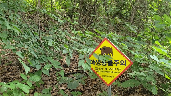 사진1. 고양시민들이 지난달 12일 덕양산 탐방로를 따라 걸으며 생태조사를 하고 있다. 사진2, 3 모감주나무 꽃과 열매사진4 하늘소는 딱따구리가 좋아하는 먹잇감이다.사진5 둥지를 떠난 아기 소쩍새 삼남매가 덕양산 탐방로 주변에서 어미새를 기다리고 있다.사진6 수변공간에 탐방로가 추가로 조성돼 겨울철새들의 교란이 우려된다.사진7. 덕양산은 주변 생태계가 단절돼 야생 포유류가 서식하기 어려운 환경이다.