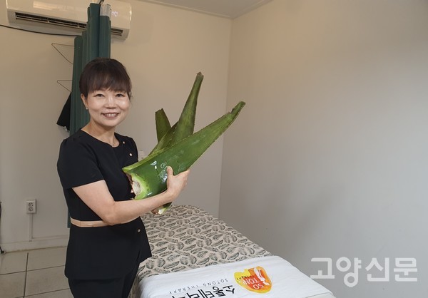 제주도에서 직송한, 가시 끝이 노랗게 잘 익은 5년 숙성된 알로에를 보여주는 조명순 원장. 