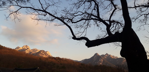 노을빛에 비친 북한산(삼각산) 영봉의 모습. 