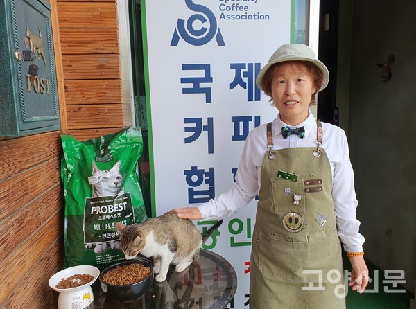 김혜진 대표가 길고양이에게 먹이를 주고 있다.