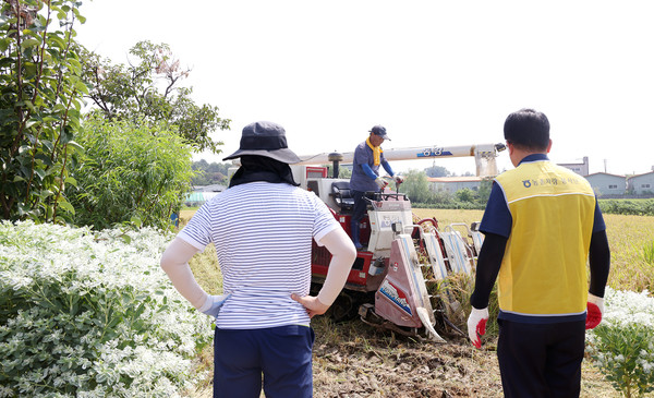송포농협 심은보 조합장과 이재선 상무가 벼베기 현장에 나와 함께 했다.
