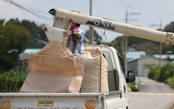 톤백에 벼를 담고 있다.