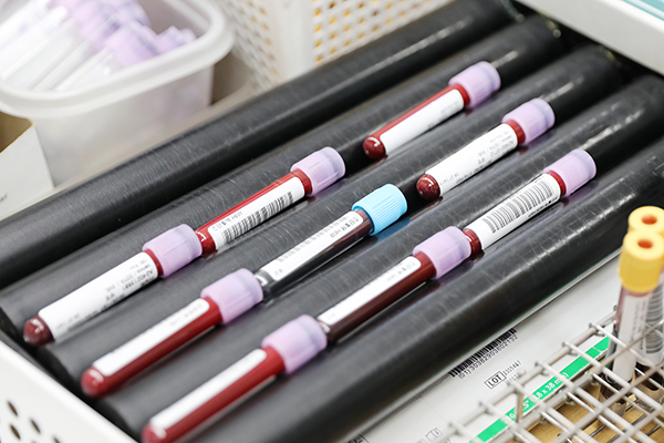 채취한 혈액