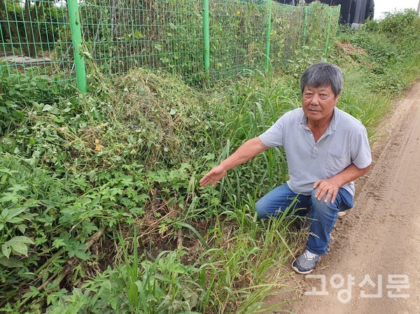 지병주 대표는 "농장 부근 농수로가 흙이 가득 차서 올해 같이 광역성 폭우가 쏟아지면 농장으로 많은 빗물이 들어와서 농작물이 잠기는 안타까운 일이 발생된다"며 농수로가 정비되길 바랐다.