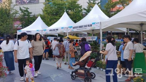 오후 늦게 많은 사람들이 찾은 행사장