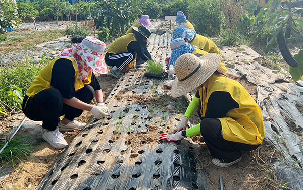 모종 심기 작업 [사진 제공 = 고양시청소년재단] 