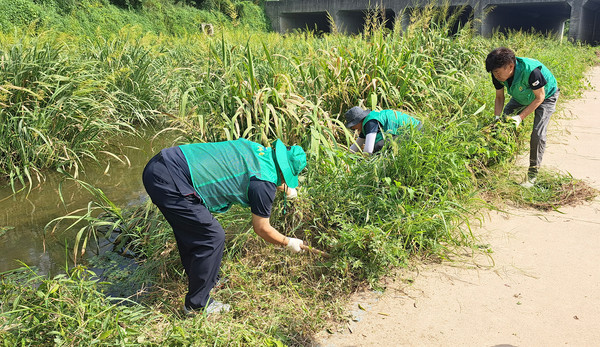 하천정화 활동을 하는 회원들.