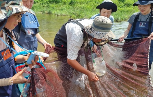 [사진제공=에코코리아]