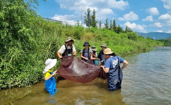 고양의 하천에서 생태모니터링을 진행하고 있는 에코코리아 조사단원들. [사진제공=에코코리아]