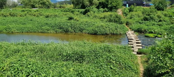 창릉천은 북한산에서 발원해 한강까지 이어지는 하천이다. [사진제공=에코코리아]