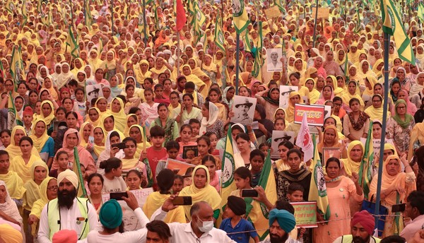 장해랑 DMZ국제다큐멘터리영화제 집행위원장DMZ다큐영화제 개막작 '혁명을 경작하다' 장면.