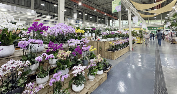 꽃판매장 내부. 다양한 꽃들이 전시되어 있다.
