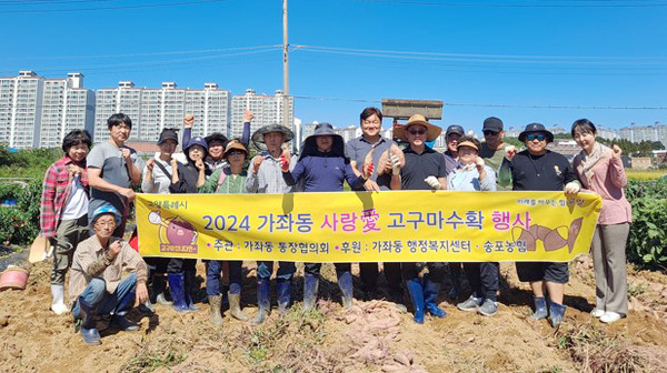 가좌동이 어려운 이웃돕기 활동으로 ‘사랑 愛 고구마 수확‘을 했다. 이날 수확된 고구마는 지역의 어려운 이웃에 전달될 예정이다.