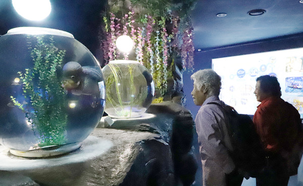 아쿠아플라넷 수족관을 관람하는 조합원들