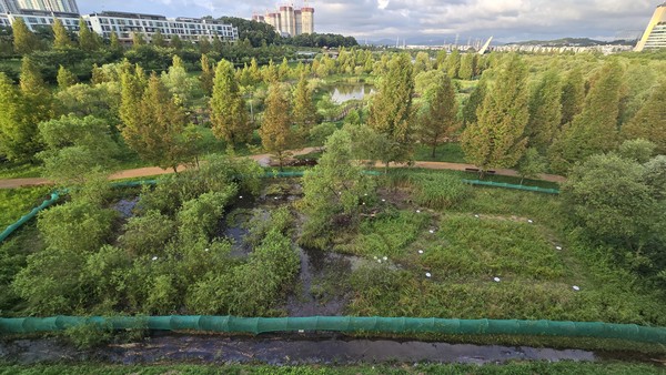 운정호수공원을 맹꽁이 생태공원으로 특화시켜 생태학습장으로 활용하자는 주장이 나오고 있다. 