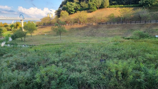 운정호수공원 안에 조성된 맹꽁이 서식지 모습. 