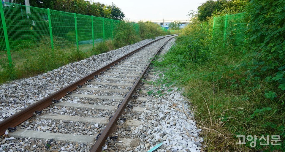마을 한 어르신에 의하면 "삼릉역은 폐역 전, 가장 많은 사람들이 이용한 교외선 정차역 중 하나"였다. 오는 연말 교외선은 약 20년 만에 재운행을 앞두고 있지만 현재 삼릉역 주변은 풀이 무성하고 쓰레기가 버려져 있는 등 관리가 제대로 안 되고 있다.