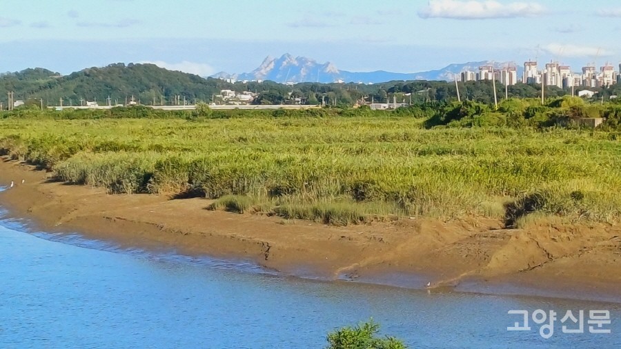 공릉천 하구 둑방길에서는 하구 습지의 원형을 온전히 만나볼 수 있다. 멀리 북한산의 장엄한 모습도 조망된다. 