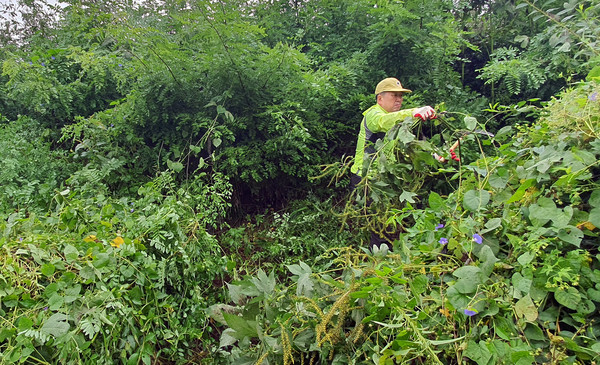  어디에서든 맡은 바 일은 늘 성실하게 한다. 