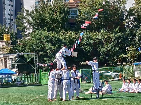식전행사로 고양시 태권도단이 시범을 보이고 있다.
