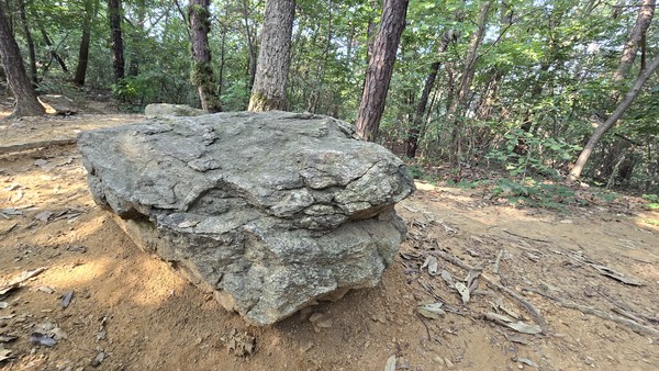 성라산 탐방로 옆에 덩그라니 남겨진 청동기시대 유적인 고인돌. 